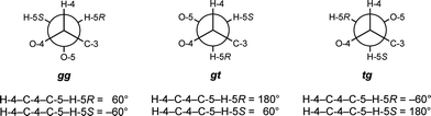 Rotamers about the C-4–C-5 bond for pentasaccharides 5–8.