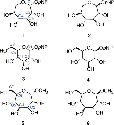 
          Septanose and pyranose glycosides: l-idoseptanosides (1, 2), d-glucosides (3, 4), d-glycero-d-septanosides (5, 6).