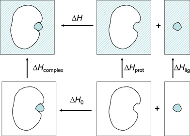 Thermodynamic cycle describing the separation of the observed binding enthalpy in solution into the gas phase binding enthalpy and solvent reorganization enthalpy.