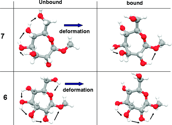 Changes in the number of internal OH–O interactions upon deformation to fit the active site.