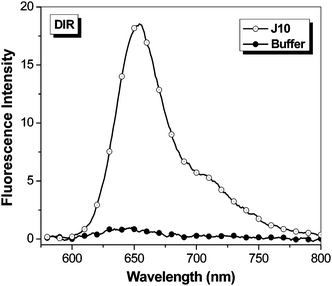 Fluorescent enhancement of samples excited at 570 nm containing 750 nM DIR in the presence of 1.5 μM J10 FAP relative to fluorescence of the dye in buffer. Spectra were corrected for differences in absorbance at the excitation wavelength.