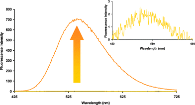 Fluorescence increase upon reaction of fluorogen 21 with two equivalents of MPA.