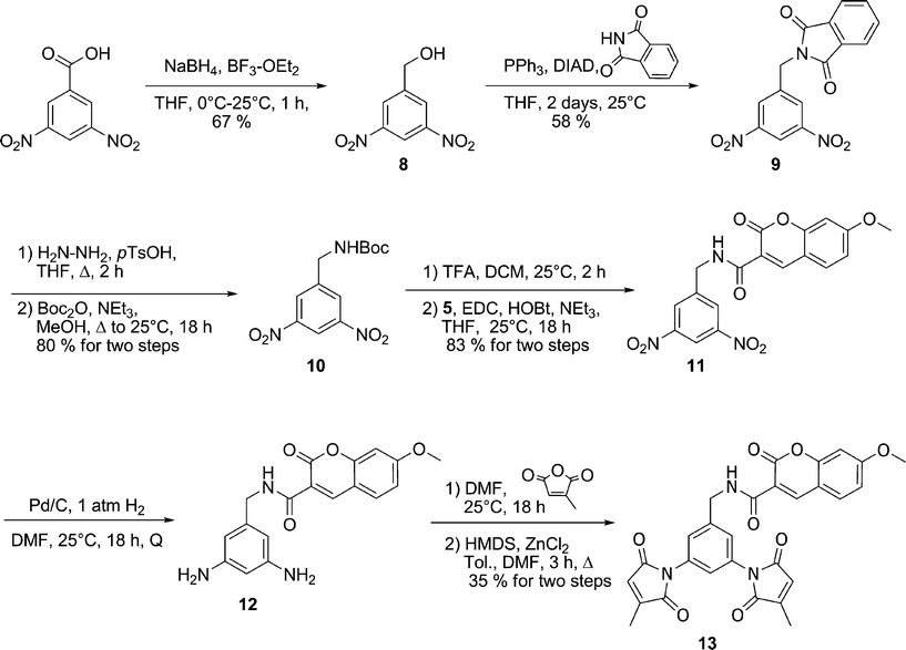 Synthesis of benzyl coumarin fluorogen 13.