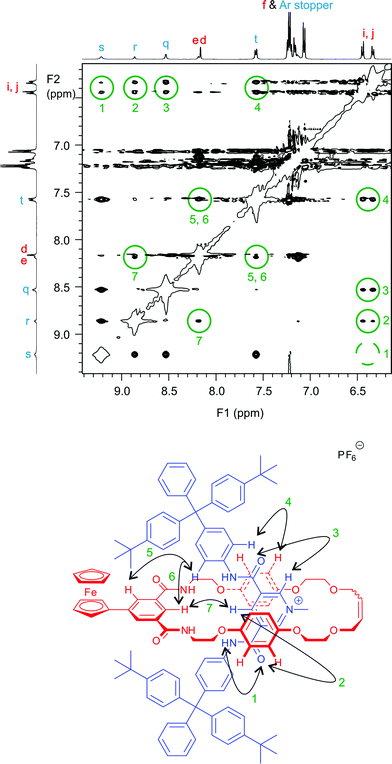 Section of 1H ROESY NMR spectrum of rotaxane 1+PF6− with through space intercomponent interactions highlighted. See Scheme 3 for proton labels.