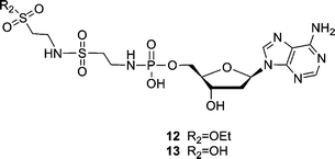 
          Sulfonamide side products (12 and 13) obtained during the coupling reaction of dAMP and taurine ethyl ester.