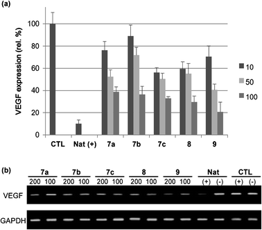 VEGF expression monitored using (a) ELISA and (b) PCR assays. Natural siRNA (Nat) and control (CTL, no treatment with siRNA) in the presence (+) and absence (−) of lipofectamine. HeLa cells were treated with 50 nM siRNA solutions. The numbers “100” and “200” indicate molar ratios, as defined in Table 1.