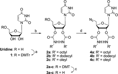 Synthesis of uridine dipoles: (a) 4,4′-dimethoxytrityl chloride, pyridine, r.t., 12 h, 88%; (b) i) CDI, DMAP, DMF, alkylamine, r.t., 12 h, ii) CDI, DMAP, DMF, alkylamine, r.t., 12 h, 56–70%; (c) CF3CO2H, CH2Cl2, −15 to 0 °C, 87–100%; (d) i) DIPEA, DMAP, DMF, r.t., 30 min, ii) MeSO2Cl, −15 °C, 3 h, iii) NaN3, r.t., 12 h, 65–84%.