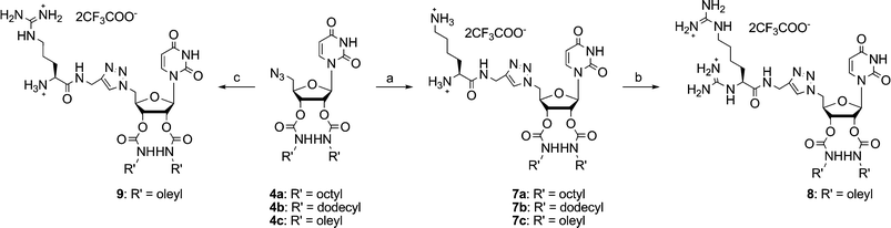 Synthesis of nucleolipids 7–9: (a) i) 5, sodium ascorbate, Cu(OAc)2, CH2Cl2–H2O (1 : 1, v/v), r.t., 65–79%; ii) 28% aq. NH4OH, 40–50 °C, 24 h, 88–100%; (b) i) 1,3-bis(BOC)-2-(trifluoromethylsulfonyl)guanidine, CH2Cl2–MeOH (9 : 1, v/v), Et3N, r.t., 1 h, 79%; ii) CF3CO2H/CH2Cl2 (1 : 1, v/v), quant.; (c) i) 6, sodium ascorbate, Cu(OAc)2, CH2Cl2–H2O (1 : 1, v/v), r.t., 82%; ii) piperidine/CH2Cl2 (3 : 7, v/v), r.t., 78%; iii) CF3CO2H/CH2Cl2 (1 : 1, v/v), 78%.