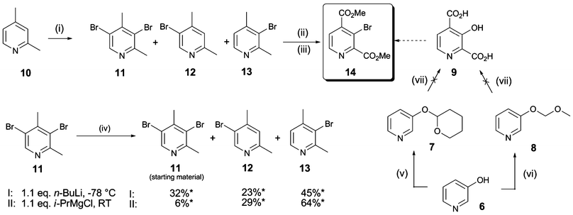 Synthesis of 3-bromopyridine 14. Reagents and conditions: (i) Br2 (0.9 eq.), 20% oleum, 165 °C, 24 h, 11 (12%), 12 (22%), 13 (35%); (ii) KMnO4 (5 eq.), NaOH (0.7 eq.), H2O, 110 °C, 3 h; (iii) cat. H2SO4, MeOH, reflux, 24 h, 53%; (iv) n-BuLi (1.1 eq.), THF, −78 °C, 1 h, or i-PrMgCl (1.1 eq.), THF, RT; then MeOH workup; (v) tetrahydropyran-2-ol (1.1 eq.), PPh3 (1.1 eq.), diisopropyl azodicarboxylate (1.1 eq.), RT, 2 h, 46%;23(vi) methoxymethyl chloride (1.05 eq.), KOtBu (1.1 eq.), DMF–CH3CN, RT, 1 h;26 (vii) base (1.5 eq.), then excess CO2(s); base (1.5 eq.), then excess CO2(s); then HCl/dioxane; *Ratios as determined by 1H NMR.