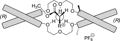 The complexation of an α-amino ester salt with the dilocular crown ether host. Schematic bars represent binaphthyl moieties.