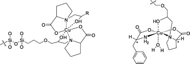 Proposed complex of the chiral stationary phase (left) and the diastereomeric complex between copper(ii)(l-proline) as the stationary phase and d-phenylalanine (right).