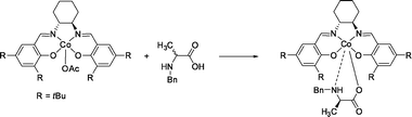 Enantioselective complexation of the chiral cobalt(iii)salen host with N-benzyl α-amino acids.