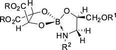 Proposed structure of the complex formed by boric acid, dialkyl tartrate and amino alcohol substrate.