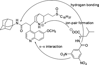 The interactions proposed to be responsible for the chiral discrimination in extraction of DNB-leucine by a modified Cinchona alkaloid extractant.