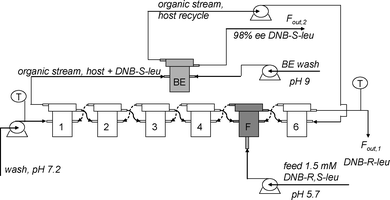 Fractional six stage countercurrent ELLE process setup with host recycle in back-extraction stage (BE) and feed (F) at stage five as used by Schuur et al.92 © 2009 ACS.