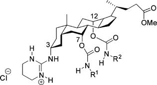 Steroidal guanidinium host.