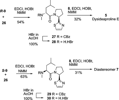 Completing the total synthesis of dysideaproline E 5 and the diastereomer 7.