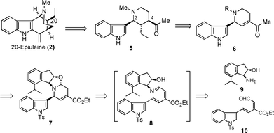 Synthetic strategy of 20-epiuleine.