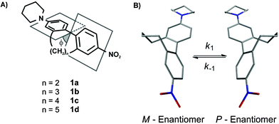 (A) Sketch of the concept to restrict the interphenyl torsion angle by an additional interlinking alkyl chain of various lengths; (B) The two atropisomers of 1c (structures calculated with a MM2 basic set) and the rotation around the central C–C bond showing the atropisomerisation process.