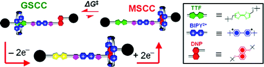 Graphical representation of a rotaxane undergoing redox-stimulated switching employing TTF and DNP recognition units, with a bipyridinium unit (BIPY2+) in the middle of the dumbbell component as a “speed bump”. The GSCC and the MSCC represent the ground state co-conformation and the metastable state co-conformation, respectively.