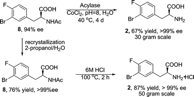 Enantiomeric enrichment and amide hydrolysis.