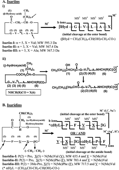 Effect Of Ester Chemical Structure And Peptide Bond Conformation In Fragmentation Pathways Of Differently Metal Cationized Cyclodepsipeptides Organic Biomolecular Chemistry Rsc Publishing Doi 10 1039 C1obb