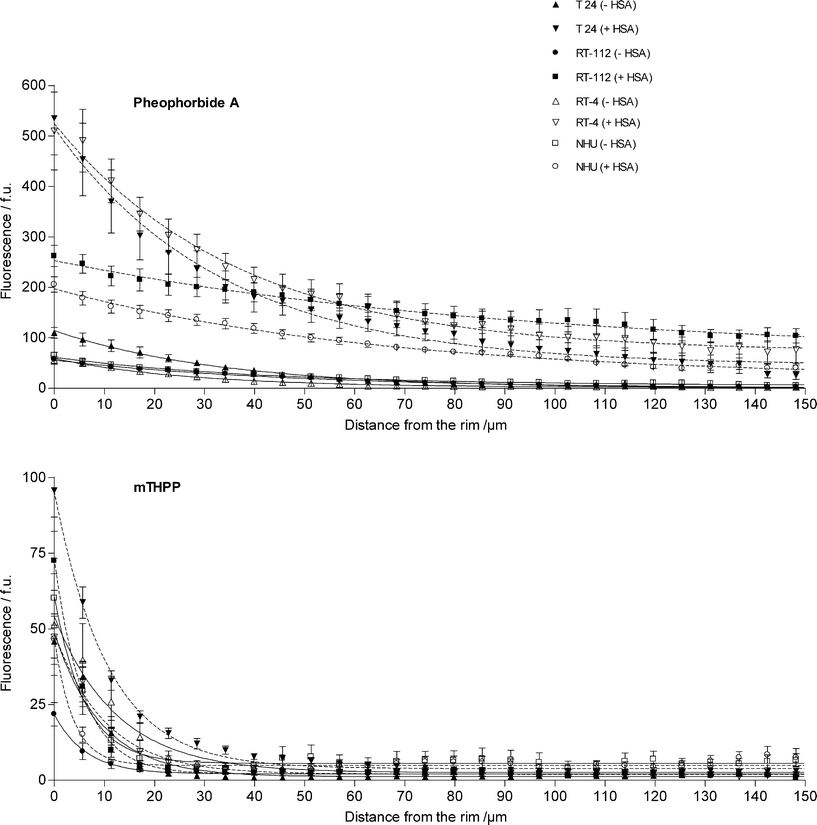 
            Pheophorbide a and mTHPP fluorescence vs. distance from spheroid periphery after curve fitting using nonlinear regression. NHU and UCC (T24, RT-112 and RT-4) spheroids were exposed to 12.5 μM pheophorbide a or 45 μM mTHPP in the presence (dashed lines) or absence of HSA (0.3% [m/v]) (solid lines) for 2 h. The quantification was performed in 5.7 μm concentric layers on 5 μm centrally cut sections of the spheroids. Corrections were made for autofluorescence. Values represent the mean ± SEM (n = 6 for UCC spheroids; n = 6 × 4 [different patients] for NHU spheroids [pheophorbide a] and n = 6 ×3 [mTHPP]).