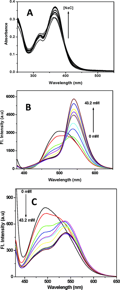 (A) Absorption spectra of fisetin in varying concentration of NaC (0–43.2 mM). (B) Emission spectra of FN (λex 369 nm). (C) Emission spectra of FA (λex 418 nm). (T = 25 °C, pH = 7.4.)