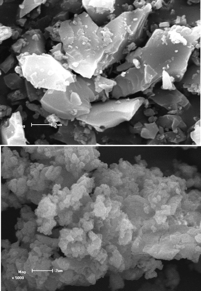 
          SEM images of materials BPSA (top) and BPSA-Eu (down); the scale bar is 2 μm.