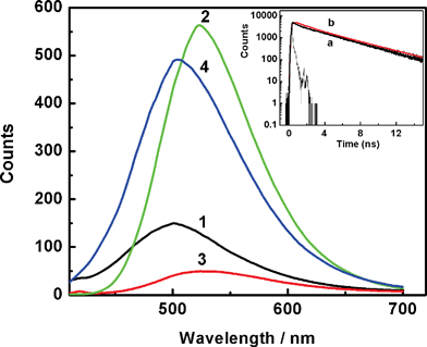 
            Fluorescence spectra recorded from solution at preset pH values 7 (1), 4.5 (reduced by 6-fold) (2), 1.5 (3) and 11 (4). Absorbance normalized at λexc = 365 nm. Inset shows the comparison of the fluorescence decay traces recorded for H33258 from a solution at pH 4.5 (a) and H33258 in presence of CT-DNA at pH 7 (b).