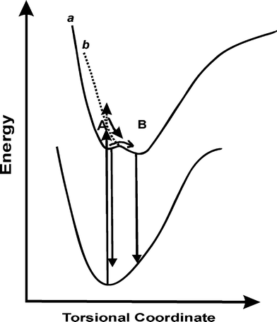 Schematic representation of the excited state dynamics of H33258 at pH 7 (a) and 4.5 (b).