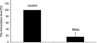 Changes in the levels of Pdc mRNA in RNAi-treated Blepharisma as determined by real-time PCR. Cells were fed with bacteria containing the Pdc-RNAi construct or the empty RNAi vector. The levels of Pdc transcript in cells fed with bacteria carrying the empty vector (control cells) were set as 100%. Bars represent mean values ± S.E.M. of at least three experiments.