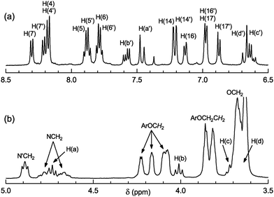 
          1H NMR spectrum of cyclobutanertct-6 in a MeCN-d3/D2O solution (10 : 1 v/v): (a) aromatic and (b) aliphatic regions.