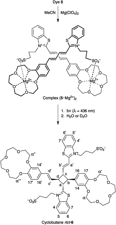 Regio- and stereospecific synthesis of cyclobutanertct-6.
