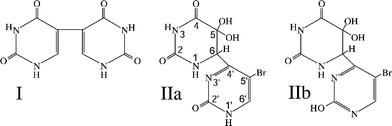 Structures of 5,5′-diuracil (I), 6-4′-(5′-bromopyrimidin-2′-one)-5,5-dihydroxy-5,6-dihydrouracil (IIa) and its lactim tautomer (IIb).