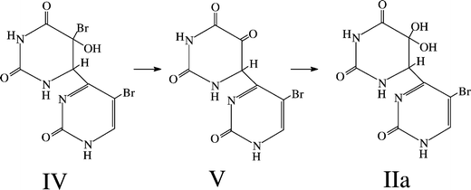 A possible sequence of reactions leading from an initially formed BrU(6–4)BrU adduct to IIa, the isolated product.
