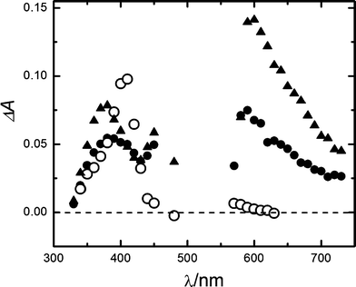 Transient absorption spectra from LFP experiences (λexc = 532 nm) in aqueous pH 7 buffer. 4 × 10−6 M RB, 4 μs (full triangles) and 50 μs (full circles) after the laser pulse; 4 × 10−6 M RB and 6 × 10−4 M gadusolate, 50 μs (open circles) after the laser pulse.