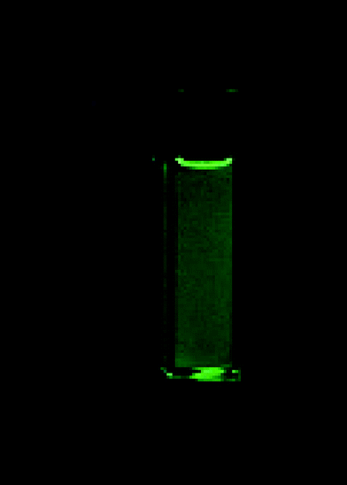 Compound 1 with terbium ions (1/Tb = 1/1, 5 × 10−6 M, CHCl3–EtOH = 99/1) before (left) and after hydrolysis (right) under UV–254 nm excitation.