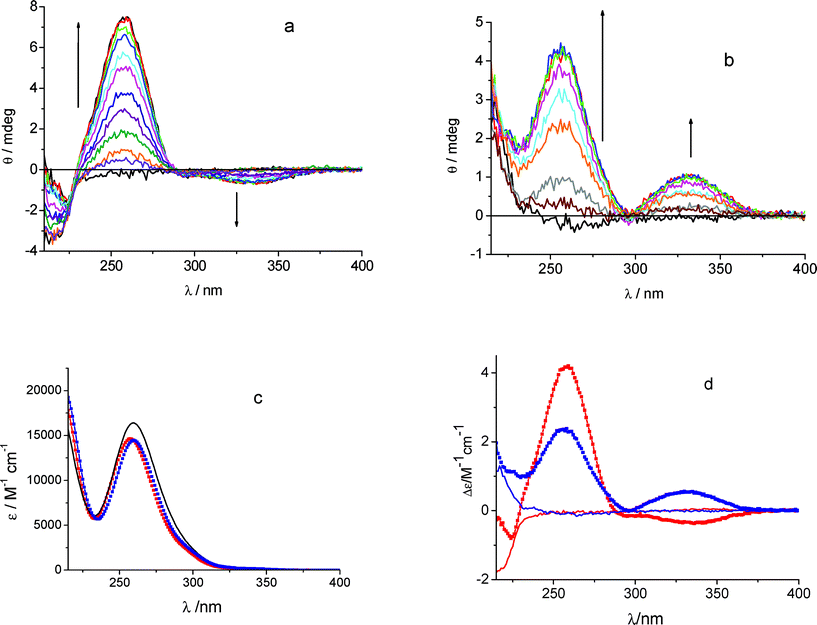 Ellipticity changes (Δθ) obtained titrating KP 6 × 10−5 M with β-CyD in the range 2 × 10−5–1.2 × 10−4 mol dm−3 in phosphate buffer 0.01 mol dm−3 pH 7.4, 25 °C, cell 1 cm (the signal of β-CyD alone was subtracted): (a) S-KP, (b) R-KP. (c) Comparison of the absorption spectra of the complexes of R-KP (blue) and S-KP (red) with the absorption spectrum of the pure KP enantiomers (black line). (d) Calculated CD spectra of the diastereoselective complexes (squares) of R-KP (blue) and S-KP (red) obtained from analysis of data in (a) and (b), respectively, together with the CD spectra of the pure enantiomers (lines).
