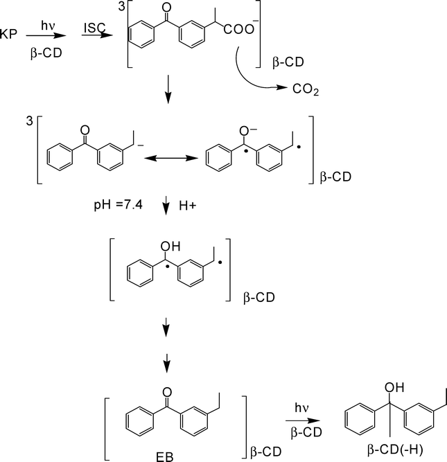 A proposal for the photochemistry of enantiomeric KP in the β-CyD cavity at neutral pH.