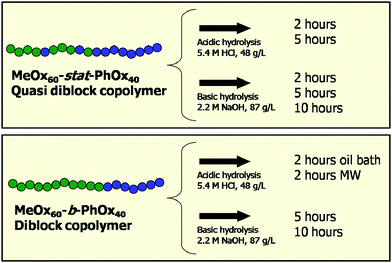 Schematic overview of the investigated hydrolysis reactions of the gradient and diblock copolymers (MW = microwave; 48 g L−1 = 4.4 mM and 87 g L−1 = 7.9 mM).