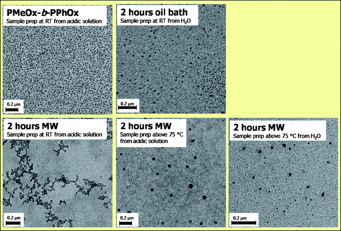 
            TEM images of PMeOx-b-PPhOx micelles after 2 hours acidic cleavage in an oil bath and a microwave synthesizer.