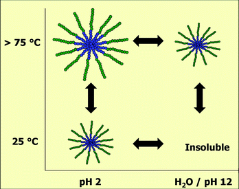 Schematic overview of the pH and temperature responsiveness of the PEI84-b-PPhOx16 block copolymer obtained by acidic hydrolysis of the PMeOx60-b-PPhOx40 block copolymer under microwave irradiation.