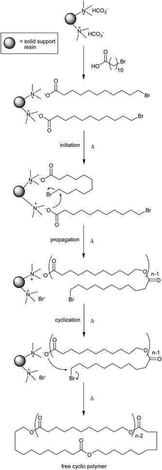 The first synthetic technique designed to produce predominantly cyclic polyesters utilizing a quaternary ammonium functionalized solid support resin.60