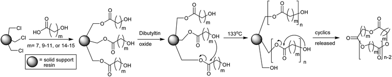 Esterification of chloromethylated polystyrene resin with various ω-hydroxyacids, followed by intermolecular propagation and then intramolecular cyclization to release cyclics into the solution phase.61