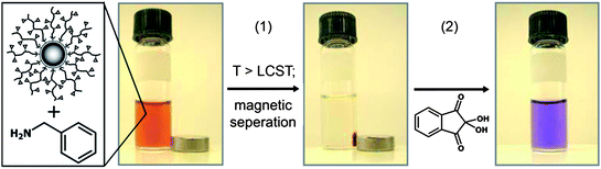 Capture of benzylamine using FeOx-P(OEGMA-co-SIMA) particles (1) by thermoflocculation and (2) staining and UV-quantification. Reproduced with permission from ref. 134. Copyright (2010) American Chemical Society.
