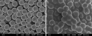 SEM image of PSHMD functionalized with BiB moieties before (left) and after (right) PEGMA polymerization with LTV at 40 °C.
