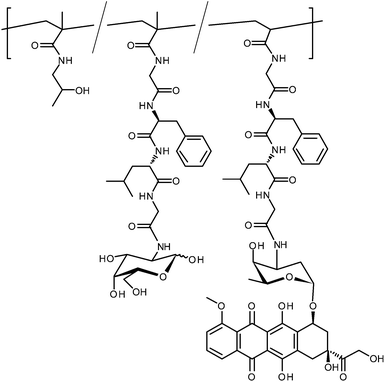 Structure of doxorubicin-conjugated polymer PK2. The trace tyrosinamide modifications are omitted for clarity.