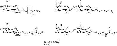 Glycosylated monomers as used by Chaikof et al. for the synthesis of heparin mimics viacyanoxyl-mediated polymerisation.