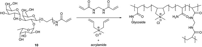 Synthesis of glycohydrogels capable of binding norovirus as synthesised by Wang et al.